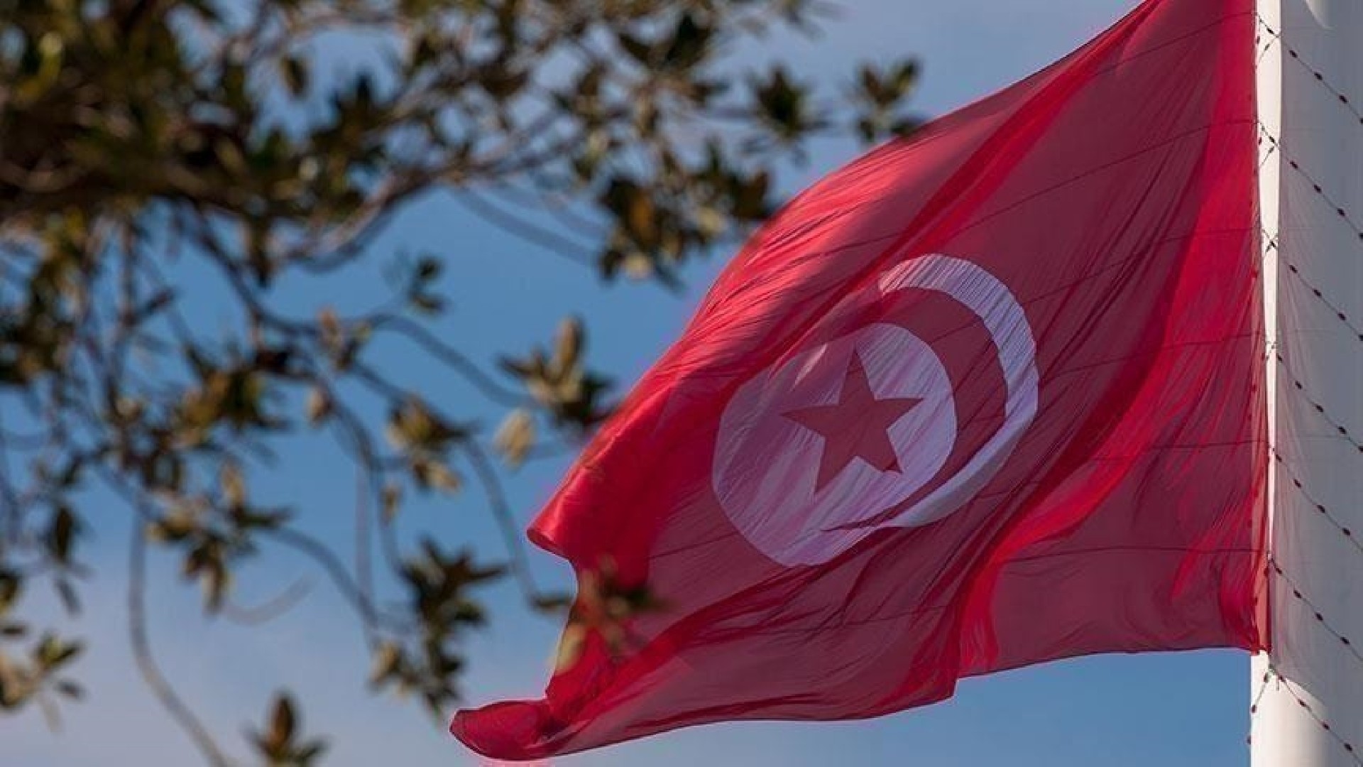Tunisie : 2,7 % de croissance, 15,2 % de taux de chômage